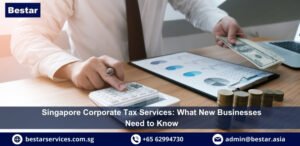 Singapore Company Tax Providers | Bestar