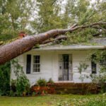 Insured, however Nonetheless on the Hook: Who Bears the Most Danger in House owner’s Insurance coverage?