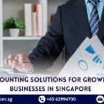 Prime Accounting Companies in Singapore for Enterprise Setup